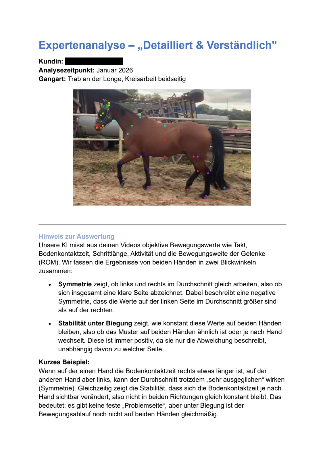 Ganganalyse-Bericht Seite 1 – Deckblatt mit Pferdedaten und Zusammenfassung
