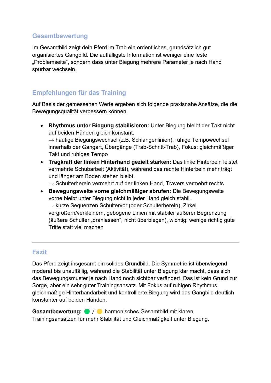 Ganganalyse-Bericht Seite 4 – Trainingsempfehlungen und Fazit